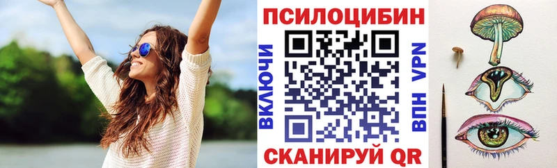 Купить закладки  Жуков  Галлюциногенные грибы мицелий 